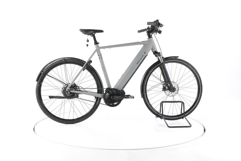 Riese & Müller Roadster vario 2022 | grå | 28" | 61 cm | 500 - 3000 km, image 1 of 5