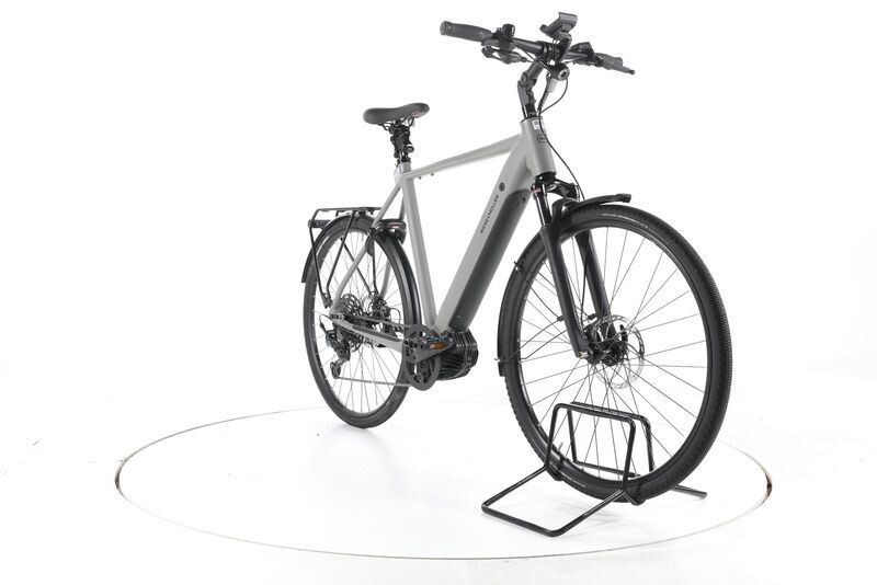 Riese & Müller Roadster4 Touring 2025 | grey | 28" | 61 cm | 500 - 3000 km, image 3 of 5
