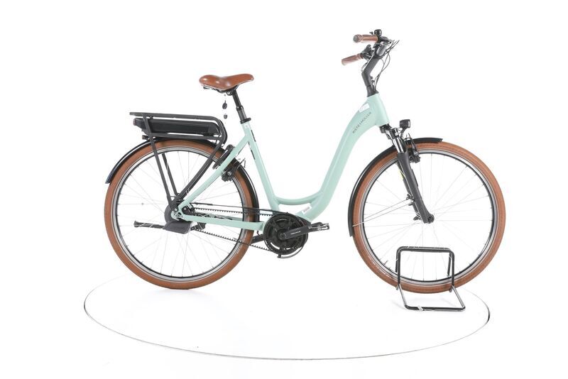 Riese & Müller houpačka Automatic 2022 | zelená | 28" | 56 cm | 500 - 3000 km, image 1 of 5
