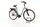 Riese & Müller Swing Vario 2022 | green | 28" | 51 cm | 500 - 3000 km, thumbnail 1 of 4