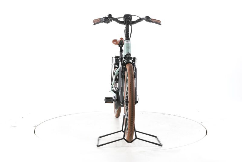 Riese & Müller Swing Vario 2022 | green | 26" | 43 cm | < 500 km, image 3 of 4