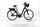 Riese & Müller Swing vario 2022 | black | 28" | 51 cm | 500 - 3000 km, thumbnail 1 of 5
