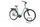 Riese & Müller Swing4 2022 | grün | 28" | 52 cm | 500 - 3000 km, thumbnail 1 of 4