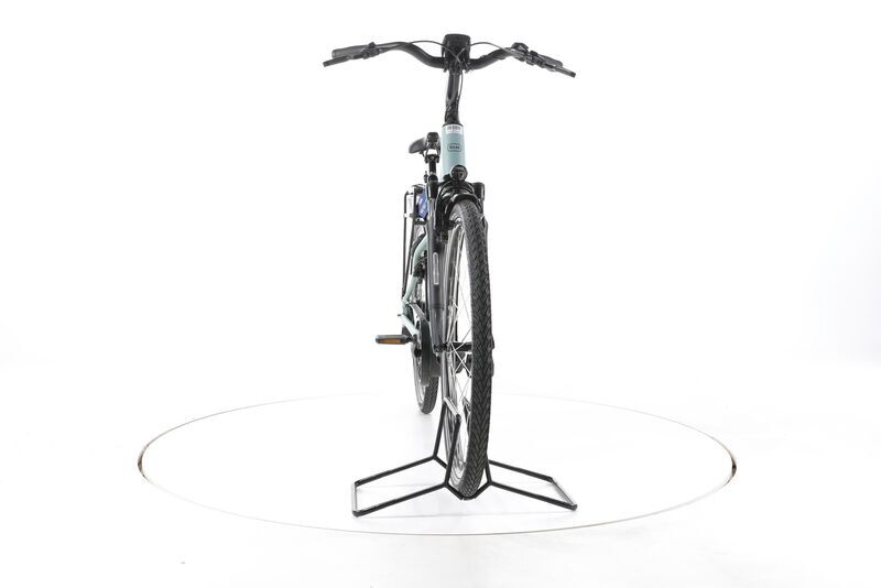 Riese & Müller Swing4 Automatic 2022 | vert | 28" | 46 cm | > 3000 km, image 4 of 5