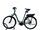 Riese & Müller Swing4 Silent | green | 28" | 51 cm | 500 - 3000 km, thumbnail 1 of 4