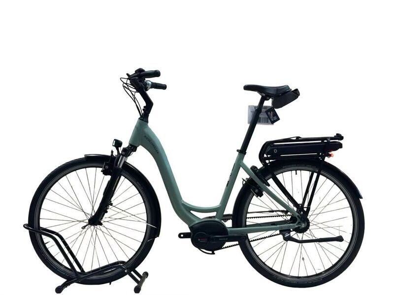 Riese & Müller Swing4 Silent | green | 28" | 51 cm | 500 - 3000 km, image 1 of 4