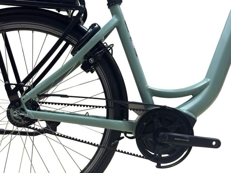 Riese & Müller Swing4 Silent | green | 28" | 51 cm | 500 - 3000 km, image 4 of 4
