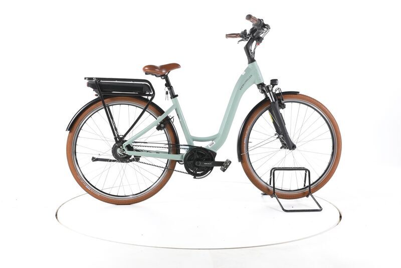 Riese & Müller Swing4 Vario 2022 | verde | 28" | 46 cm | 500 - 3000 km, image 1 of 5