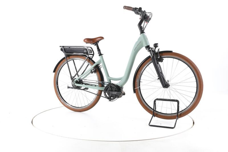 Riese & Müller Swing4 Vario 2022 | verde | 28" | 46 cm | 500 - 3000 km, image 2 of 5