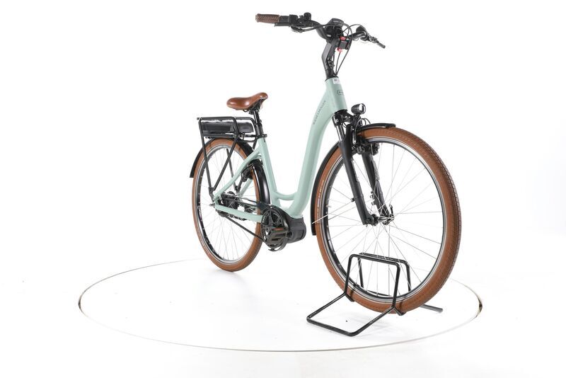 Riese & Müller Swing4 Vario 2022 | verde | 28" | 46 cm | 500 - 3000 km, image 3 of 5