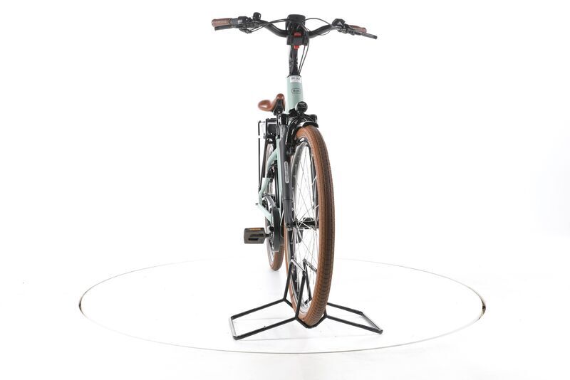 Riese & Müller Swing4 Vario 2022 | verde | 28" | 46 cm | 500 - 3000 km, image 4 of 5