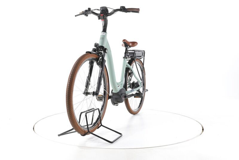 Riese & Müller Swing4 Vario 2022 | verde | 28" | 46 cm | 500 - 3000 km, image 5 of 5