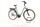 Riese & Müller Swing4 Vario 2025 | green | 28" | 56 cm | < 500 km, thumbnail 2 of 5