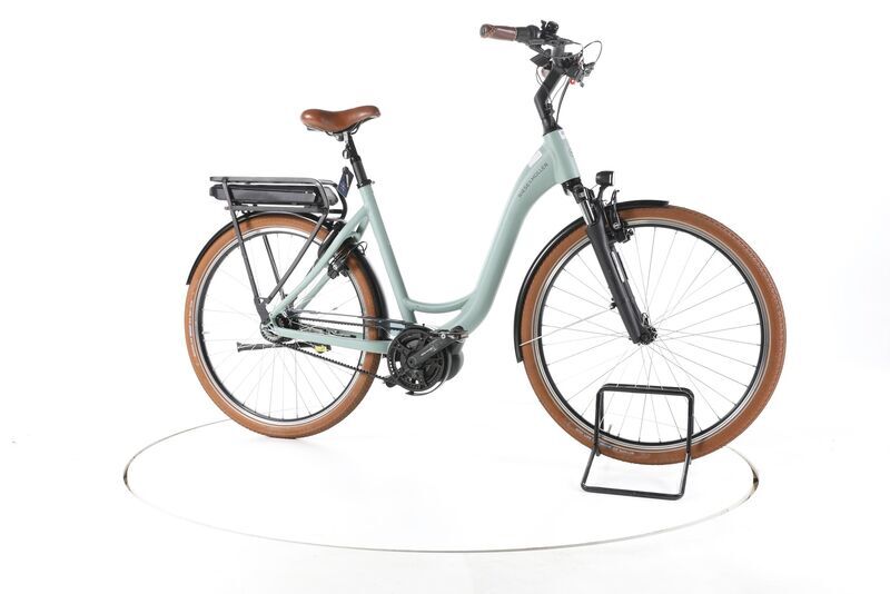 Riese & Müller Swing4 Vario 2025 | green | 28" | 56 cm | < 500 km, image 2 of 5