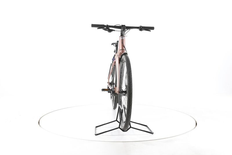 Riese & Müller UBN Seven turistické 2022 | růžová | 28" | 51 cm | > 3000 km, image 4 of 5