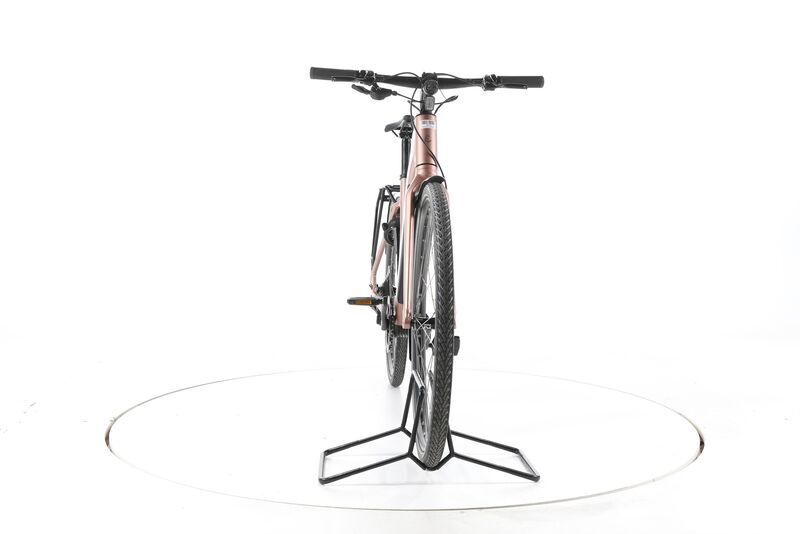 Riese & Müller UBN Seven Touring 2023 | Rosa | 28" | 51 cm | > 3000 km, image 4 of 5