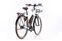 Riese & Müller Cruiser Mixte Urban (2022) | Trapez | weiß | 28" | 50 cm | 100 - 500 km thumbnail 2/5
