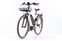 Riese & Müller Cruiser Mixte Urban (2022) | Trapez | weiß | 28" | 50 cm | 100 - 500 km thumbnail 5/5