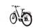 Riese & Müller Nevo 3 GT Vario (2022) | Low Entry | white | 27.5" | 43 cm | > 4000 km thumbnail 4/4