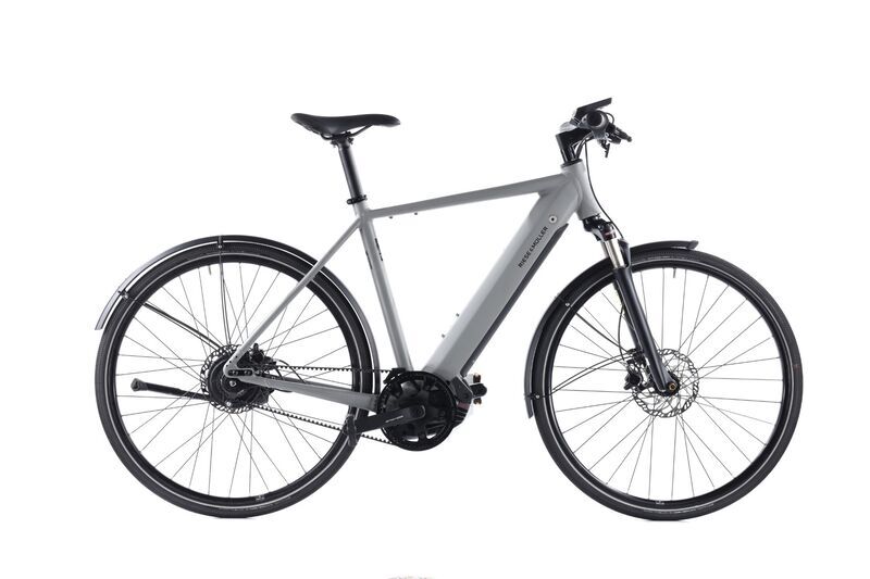 Riese & Müller Roadster Vario (2021) | Diamant | grau | 28" | 56 cm | 1000 - 1500 km 1