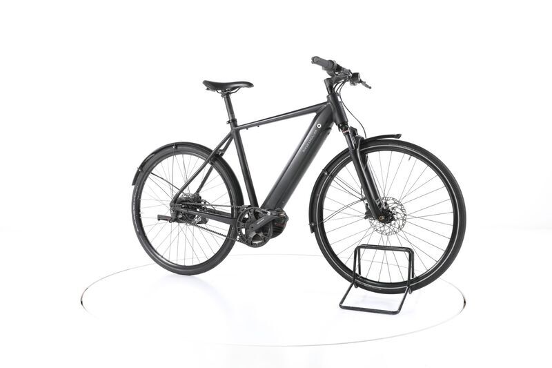 Riese & Müller Roadster Vario (2023) | Diamond | black | 28" | 56 cm | 1500 - 2000 km 2