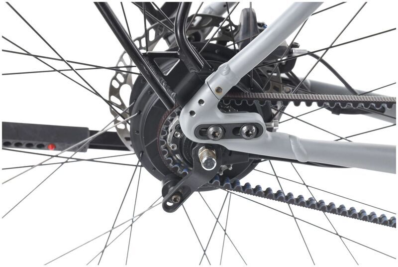 Riese & Müller Roadster Vario (2023) | Diamant | grau | 28" | 51 cm | 500 - 3000 km 4