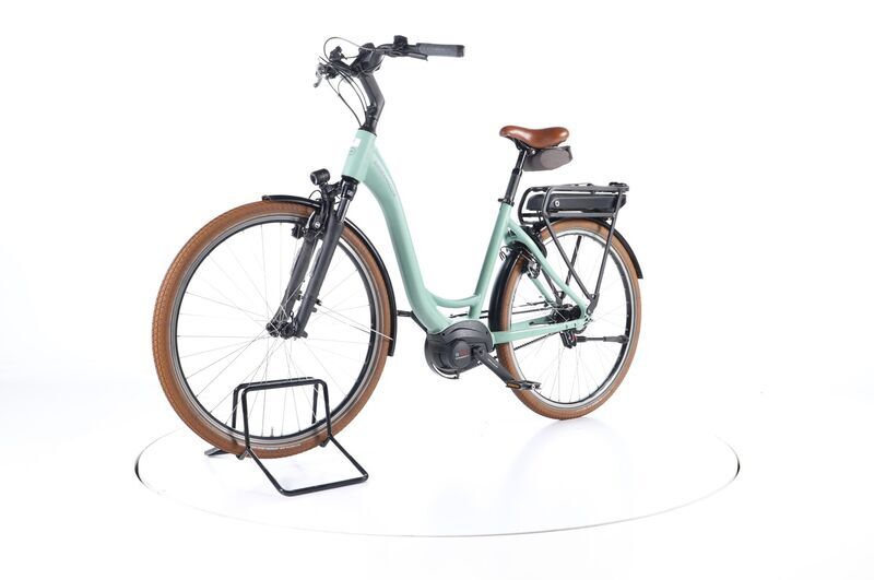 Riese & Müller Swing3 RT (2022) | Low Entry | sage | 28" | 52 cm | 2000 - 3000 km 5