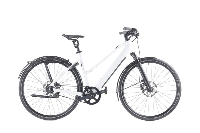 Riese & Müller UBN Five (2023) | Diamant | weiß | 28" | 51 cm | 100 - 500 km 1