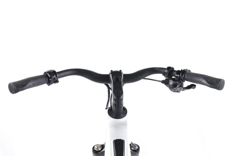 Riese & Müller UBN Five (2023) | Diamant | weiß | 28" | 51 cm | 100 - 500 km 3