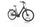 RIVERSIDE EC900 2022 | black | 28" | L | 500 - 3000 km, thumbnail 1 of 4
