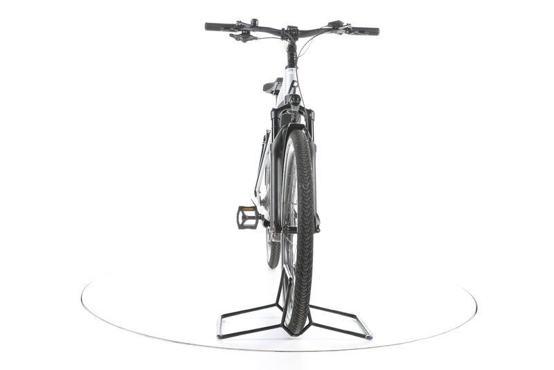 růže Mayor+ 2022 | bílý | 28" | L | 500 - 3000 km, image 4 of 5