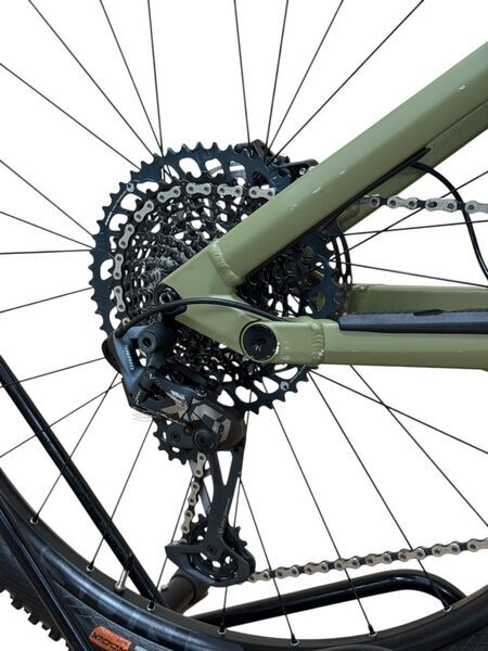 Rose Root Miller 3 2022 | grön | 29" | XL 3