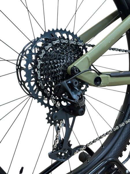 Rose Root Miller 3 2022 | grön | 29" | XL 4