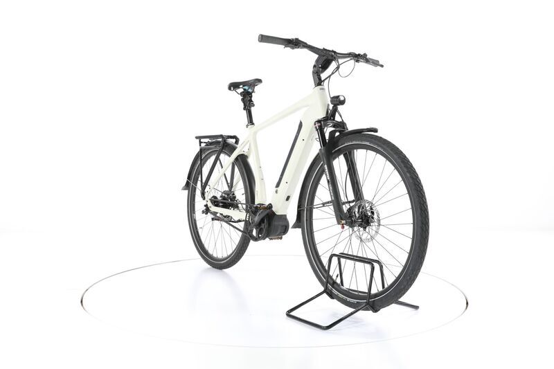 Rose Xtra Watt EVO+ 4 (2021) | Diamant | beige | 28" | 53 cm | > 4000 km 3