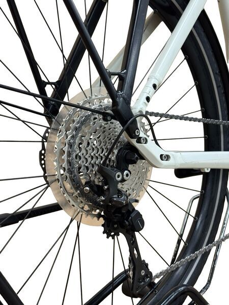 Rose Xtra Watt Evo Plus 1 2023 | white | 28" | 21" cm | 500 - 3000 km 4