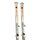 Rossignol Nova 2 Xpress (2025/2026) | white | 162 cm, thumbnail 2 of 5