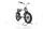 Ruff Cycles LIL’BUDDY "Edge" 2025 | grey | 20" | Unisex | 500 - 3000 km, thumbnail 3 of 5