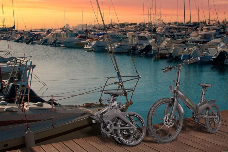 SachsenRAD F11 MagPuma (2023) | Faltrahmen | schwarz | 20" | Einheitsgröße | < 100 km 3