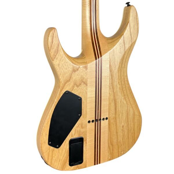 Schecter C-1 SLS Elite 2018 - Antique Fade Burst | Antique Fade Burst, image 5 of 5