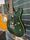 Schecter Japan RJ-1-24-VTR See-Thru Green Electric Guitar | green, thumbnail 3 of 5