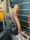 Schecter SLS Elite-4 Black Fade Burst 2022 Electric Bass | Black Burst, thumbnail 5 of 5