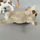 Schleich Bauernhof & Wildtiere Tierfiguren Set | 14 Tiere | multicolored thumbnail 4/4