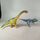 Schleich Bundle Dinosaurier 4 Teile Carnotaurus Brachiosaurus Ankylosaurus Dilophosauruse | mehrfarbig, thumbnail 2 of 3
