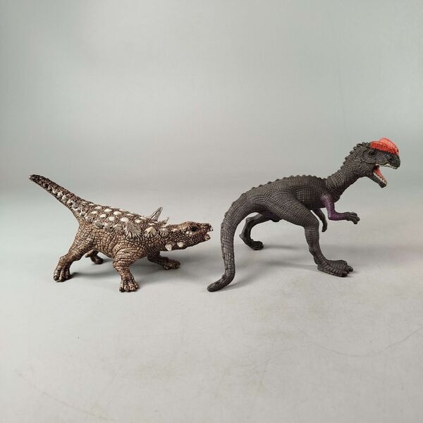 Schleich Bundle Dinosaurier 4 Teile Carnotaurus Brachiosaurus Ankylosaurus Dilophosauruse | mehrfarbig, image 3 of 3