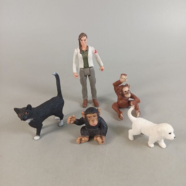 Schleich Bundle dinosaur animals & people set von 18 figures | multicolored, image 4 of 4