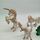 Schleich Bundle Fantasie & Fee Set von 6 Figurene | mehrfarbig, thumbnail 2 of 3