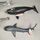 Schleich Bundle Meerestiere 6 Teile Tierfigurene | mehrfarbig, thumbnail 2 of 3