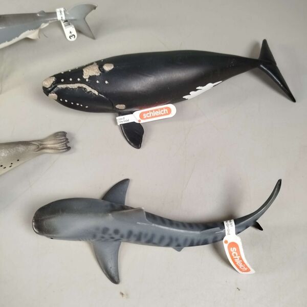 Schleich Bundle Meerestiere 6 Teile Tierfigurene | mehrfarbig, image 2 of 3