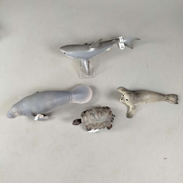 Schleich Bundle Meerestiere 6 Teile Tierfigurene | mehrfarbig, image 3 of 3