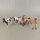 Schleich Bundle Pferde 14x Figuren | mehrfarbig, thumbnail 2 of 4